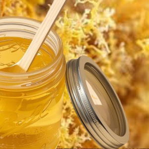 Fresh sea moss gel in gold and purple varieties including turmeric, elderberry, and beet blends